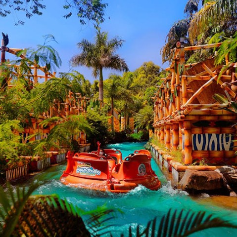 Beto Carrero World: manual completo para aproveitar o parque - Viajar pelo  Mundo